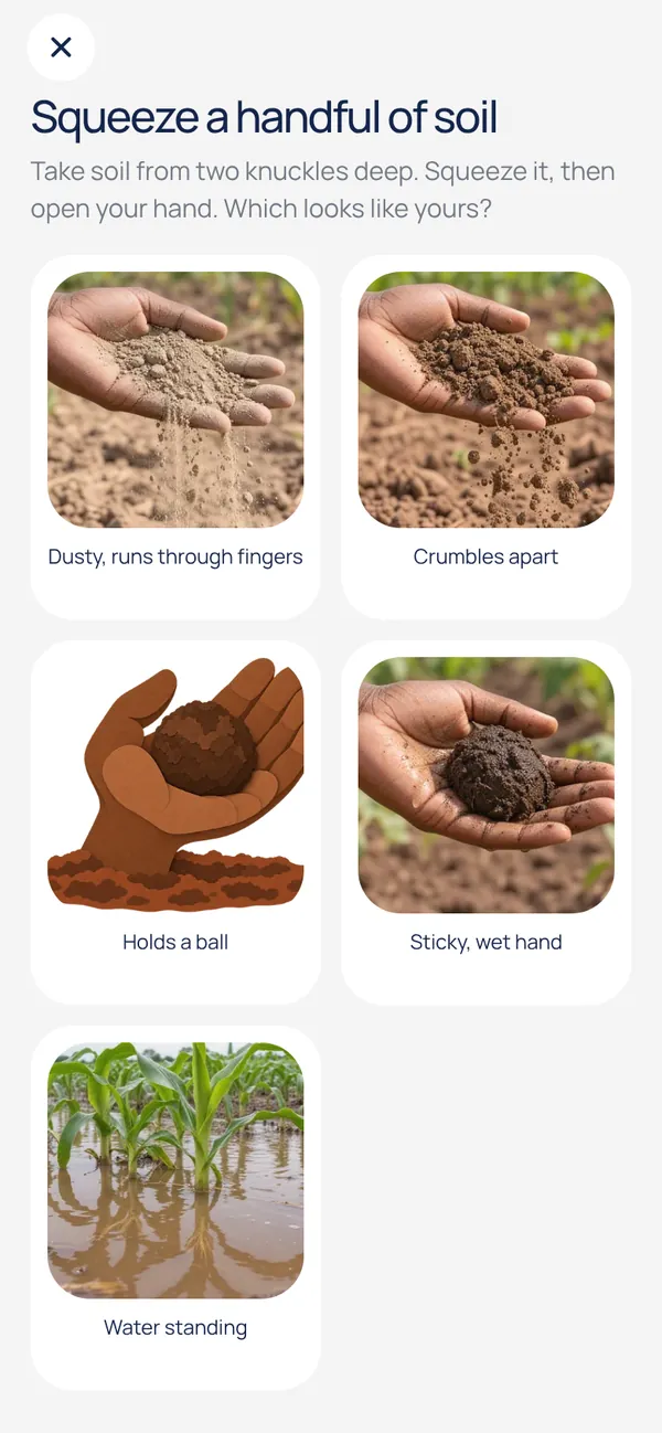Soil check: squeeze a handful of soil and pick the closest picture
